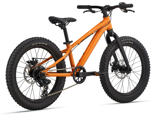 detail Giant STP 20